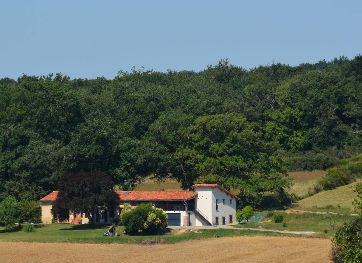 La Safraniere Villa Lagraulet-Saint-Nicolas Eksteriør billede